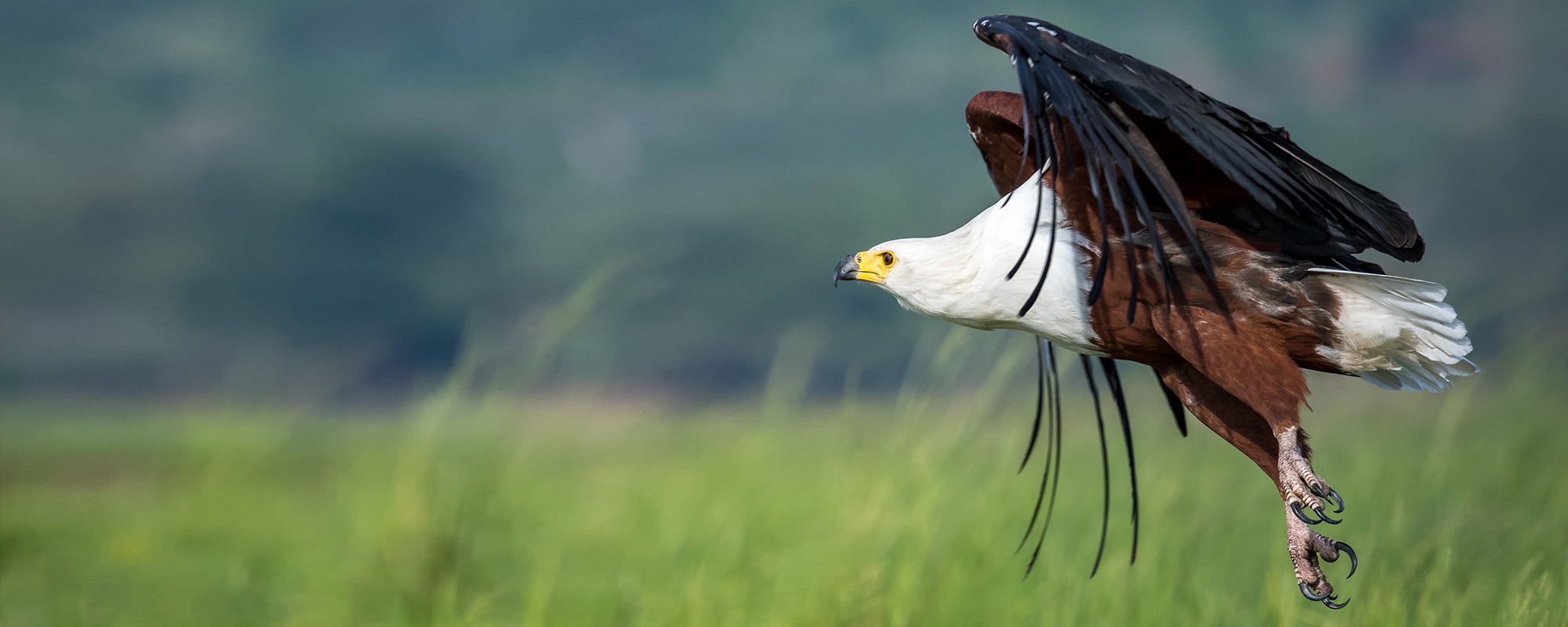 Sample Itinerary - Pangolin Photo Safaris