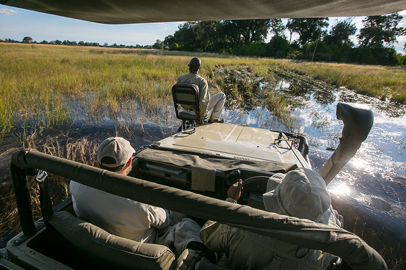 Pangolin Photo Safaris – Okavango Delta Driving through the Okavango Delta