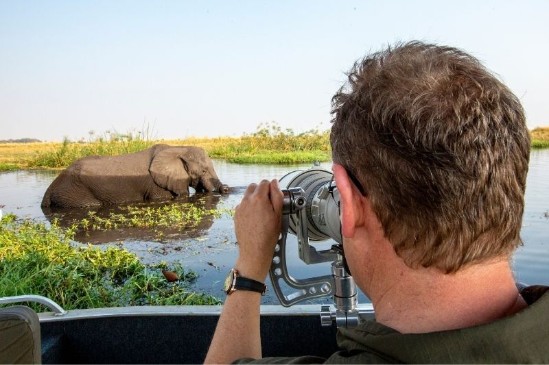 Photographic Safari on the Chobe River