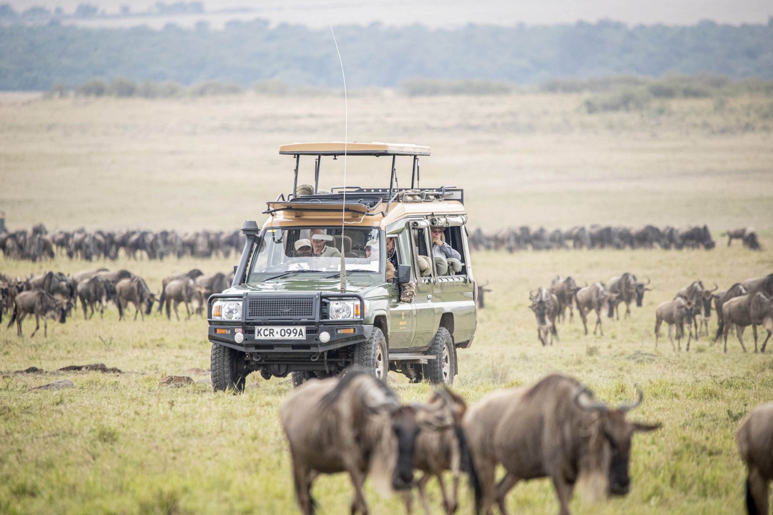 Masai Mara photography tour