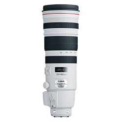 Canon 200-400mm f4L IS USM Extender 1.4x Canon 200-400mm f4L IS USM Extender 1.4x