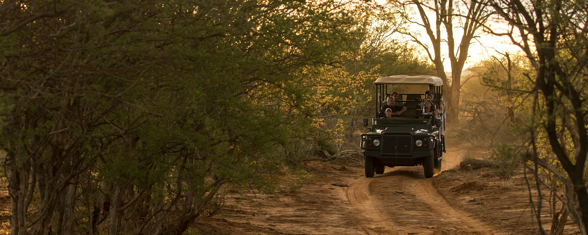 Pangolin Photo Safaris – Jacis Tree Lodge