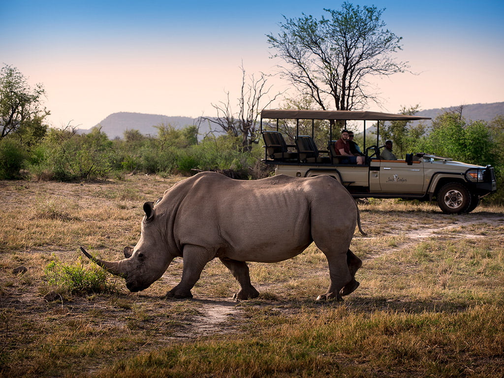 Pangolin Photo Safaris – Partners – Jacis 003