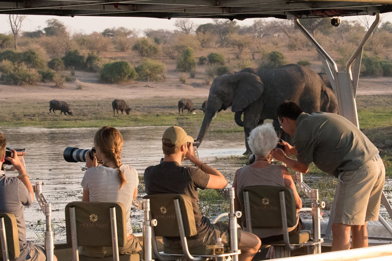 Pangolin Photo Safaris – Photo Boat Pangolin Photo Safaris – Photo Boat
