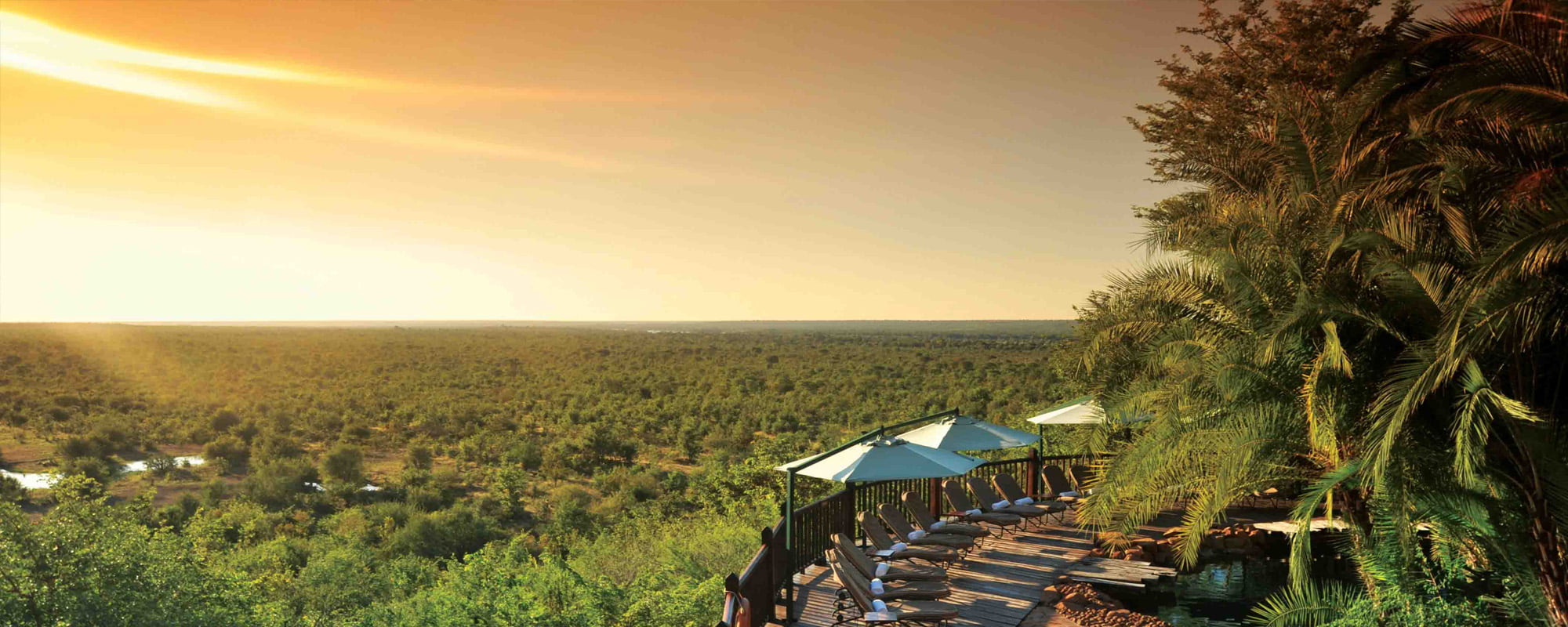 Pangolin Photo Safaris – Vic Falls safari lodge