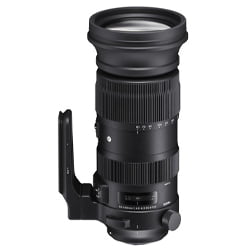 Sigma 60-600mm Sigma 60-600mm