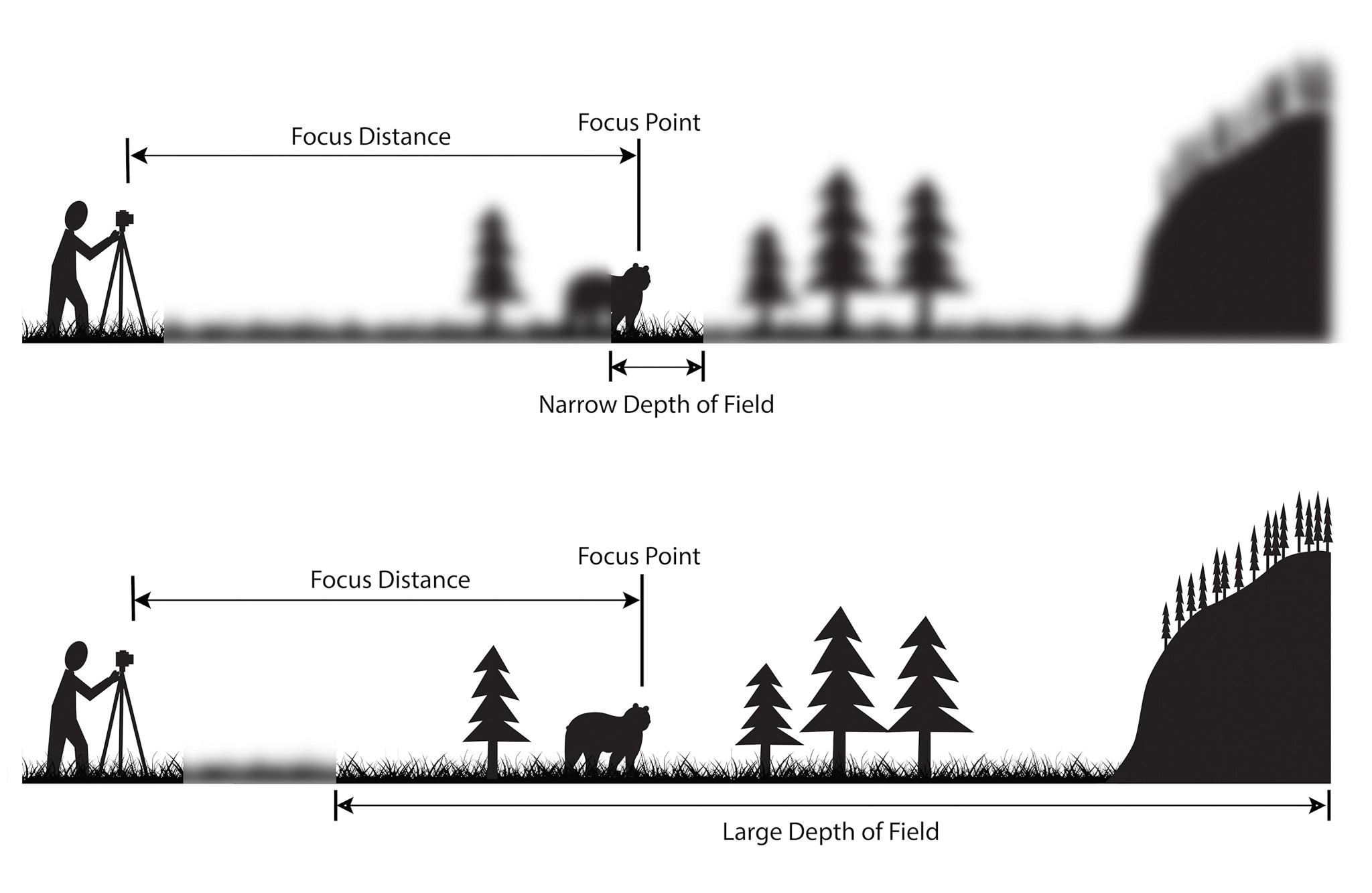 understanding depth of field Understanding Depth of Field