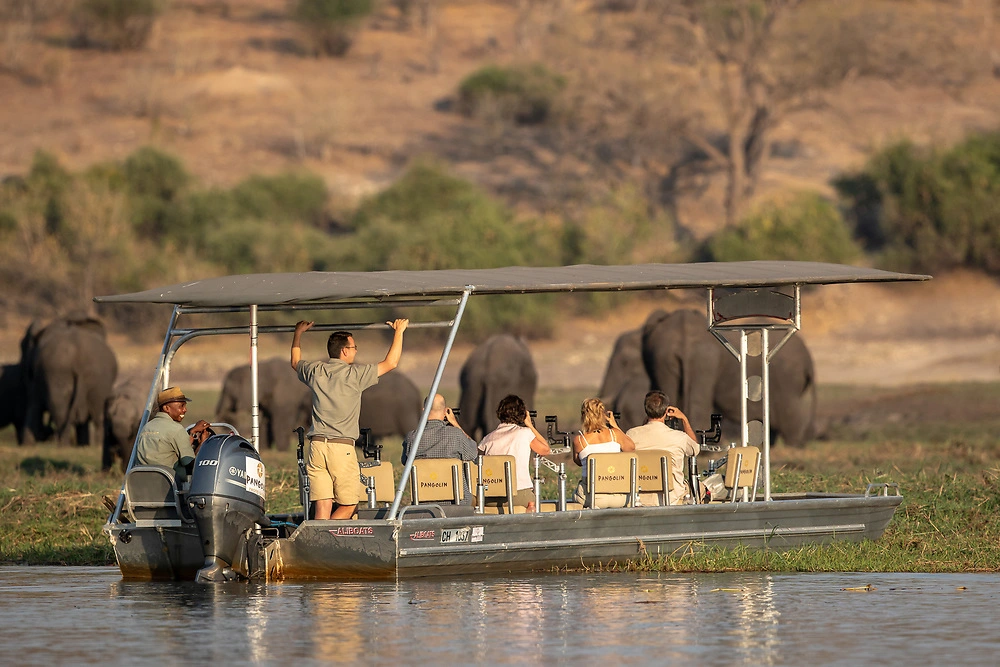 chobe river boat depth of field wildlife photography Pangolin Photo Safaris