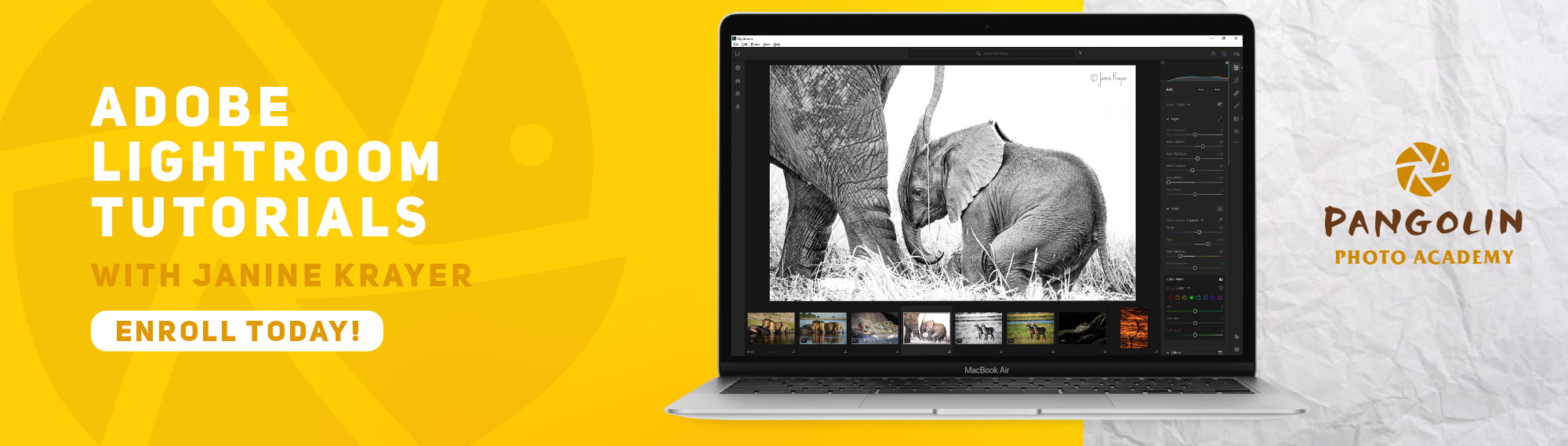 lightroom tutorials by janine krayer and pangolin photo safaris