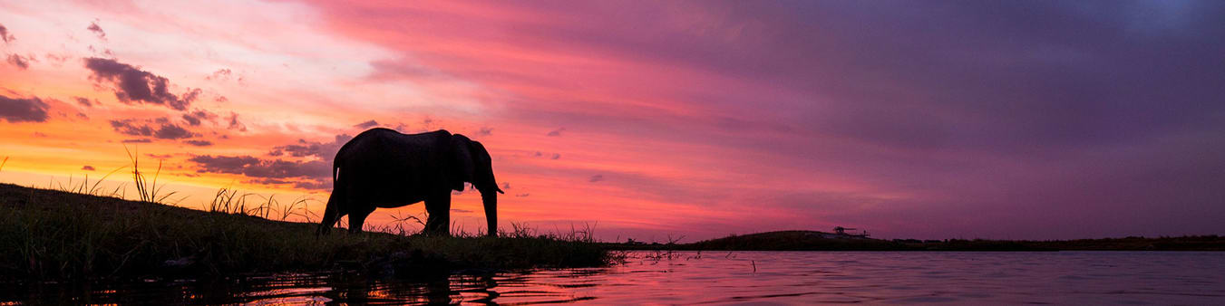 The best photographic safari tours in Botswana