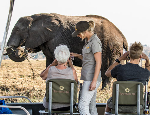 Learning will be the new luxury on a post Corona photography holiday.