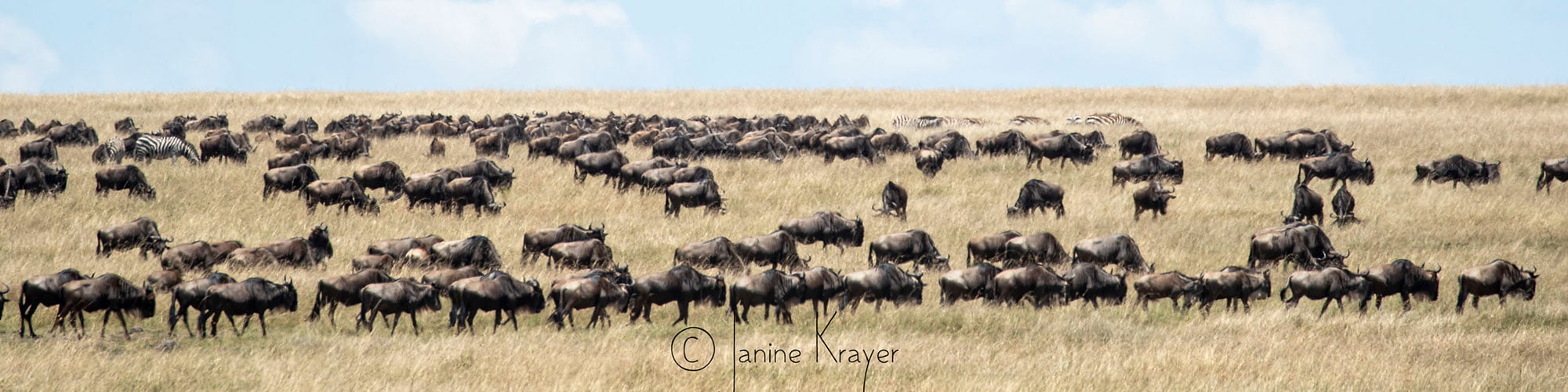 kenya.jpg
