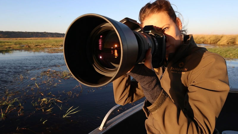Sigma 60-600mm lens for wildlife photography