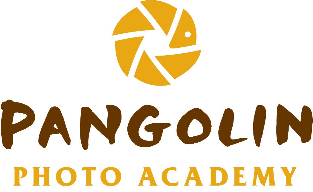 Pangolin-Photo-Academy