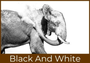 1 Black and white