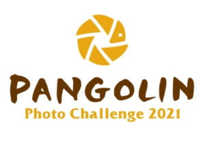 1 Pangolin Photo Challenge Logo