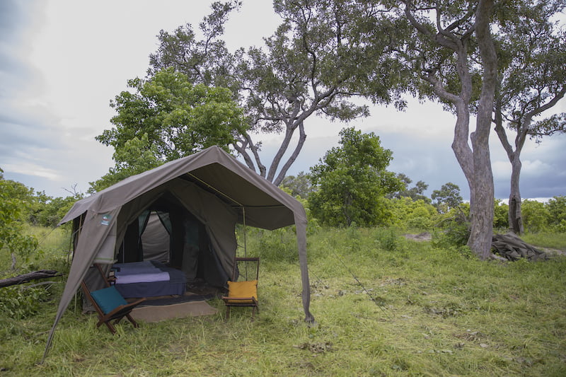 The Pangolin Photo Camp