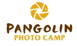 pangolin Photo Camp logo 250