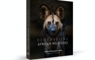 Remebering wild dogs