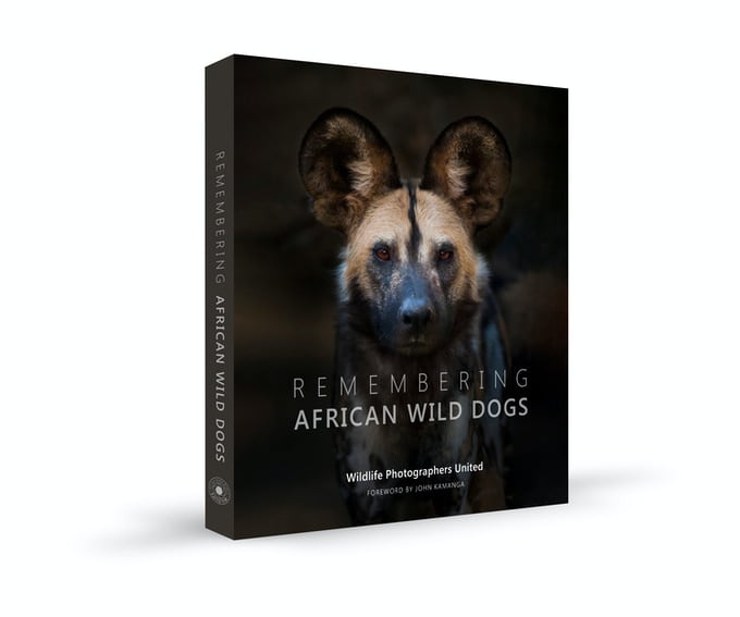 Remebering wild dogs Remebering wild dogs