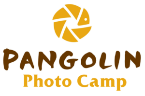 pangolinphotocampvert pangolin Photo Camp logo vertical