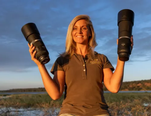Canon f/11 RF lens review for wildlife photography