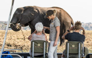 photography safaris with Pangolin Photo Hosts