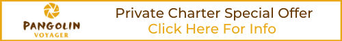 Copy of PCH reopening banner (4) Last Minute Specials Banner