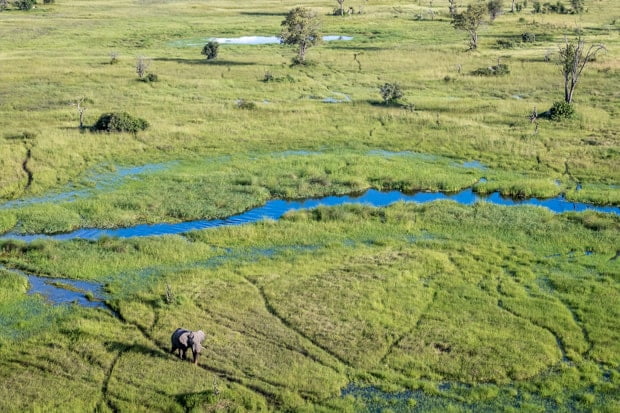 Okavango Delta photo safari Botswana