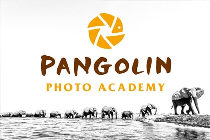 Pangolin Photo academy