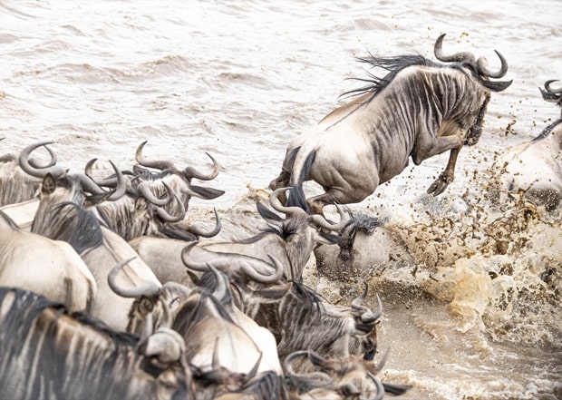 Photo safari in Kenya - Janine Krayer Wildlife Photography