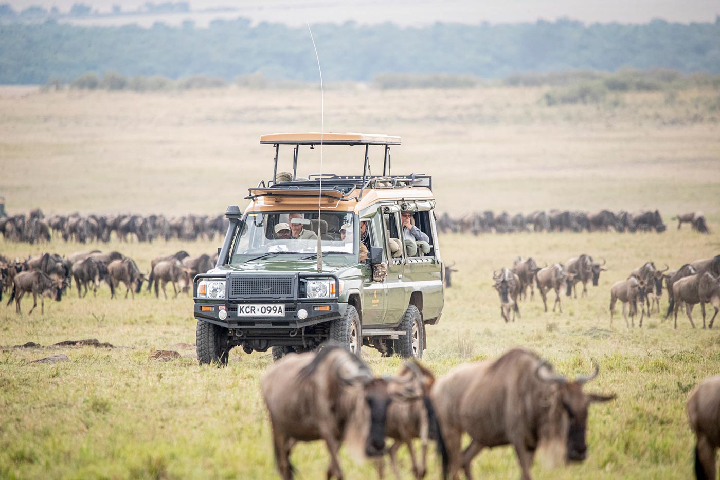 African Photo Safari in Masai Mara