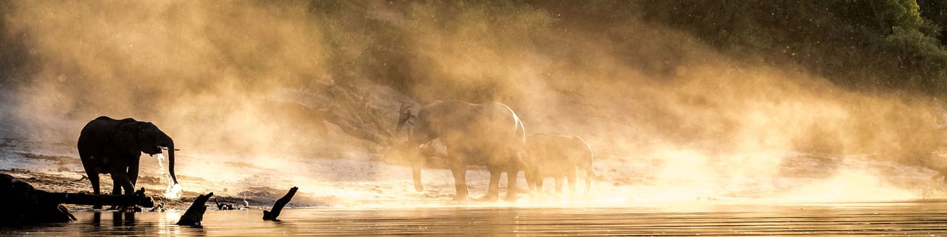Custom wildlife photography safari holidays Custom wildlife photography safari holidays