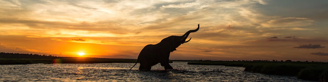 Photo taken during a wildlife photography workshop Wildlife photography workshops in Africa