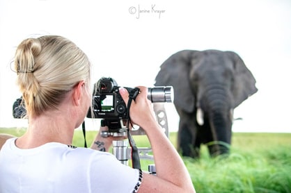 wildlife photography holiday packages