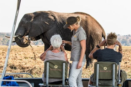 Wildlife photograpy workshops Africa