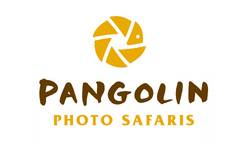 1 pangolin sponsor logo