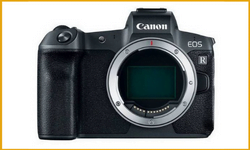 3 canon eos R body