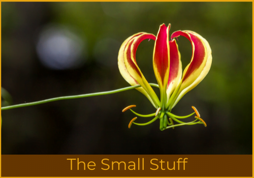3 the small stuff challenge