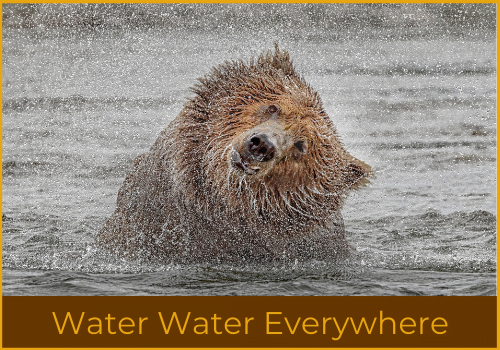 4 water water everywhere challenge