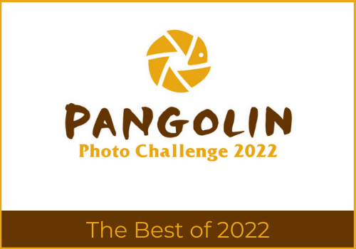 5 the best of 2022 chalenge