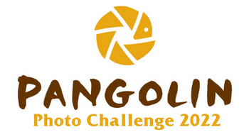 Pangolin Photo Challenge 2021 logo