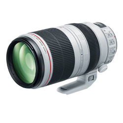 Canon EF 100-400mm f/4.5-5.6L IS II