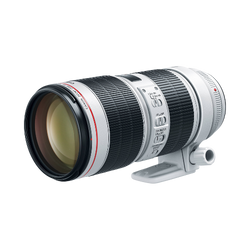 Canon EF 70-200mm f/2.8L IS II