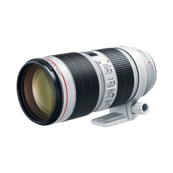 Canon EF 70-200mm f/2.8L IS II