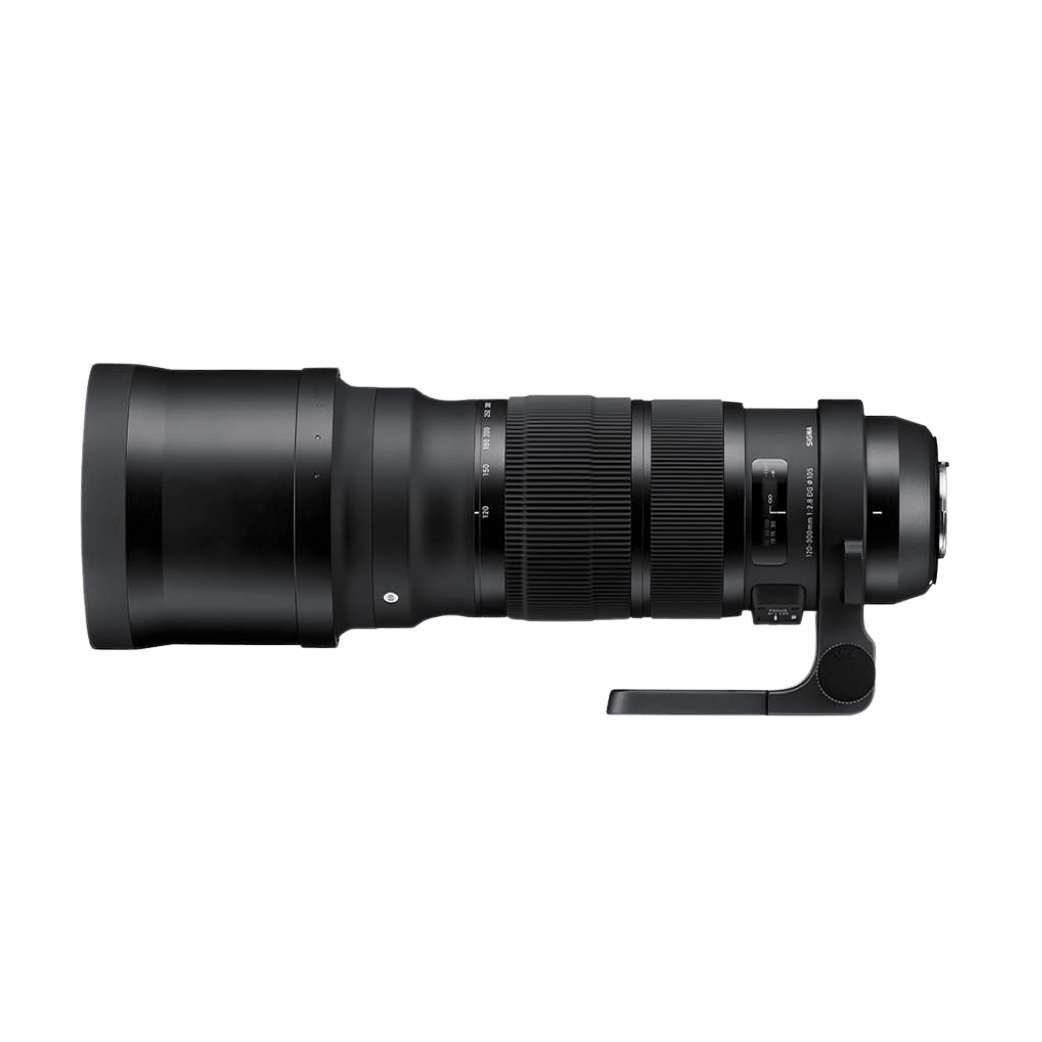 Sigma 120-300mm F2.8 DG OS HSM | Sports Sigma 120-300mm F2.8 DG OS HSM | Sports