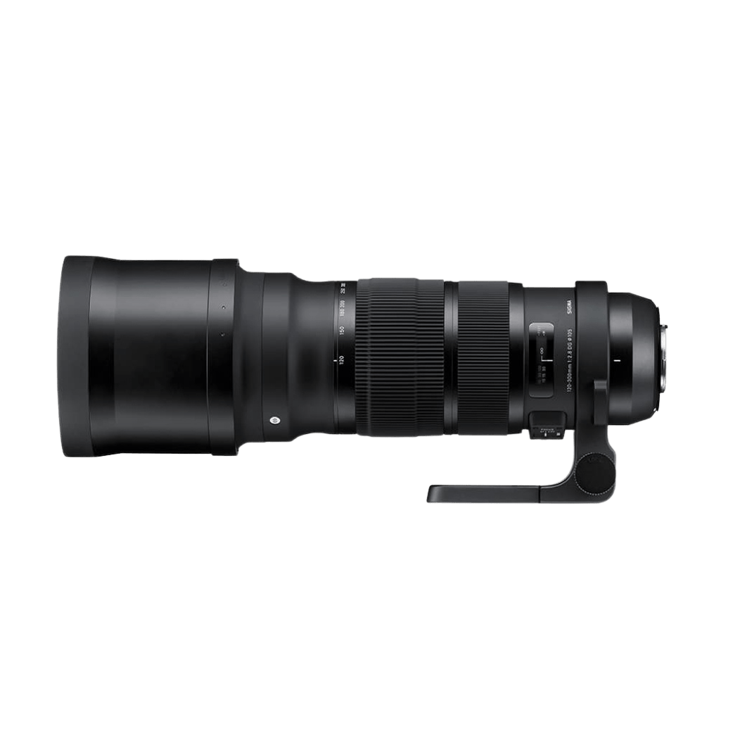 Sigma 120-300mm F2.8 DG OS HSM | Sports