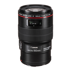 Canon EF 100mm f/2.8L Macro USM