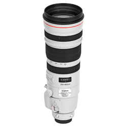Canon EF 200-400 f/4L IS USM Extender 1.4x
