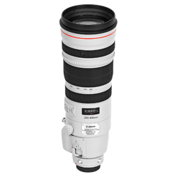 Canon EF 200-400 f/4L IS USM Extender 1.4x